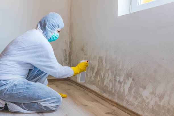 Mold inspector in Sewell performing thermal imaging