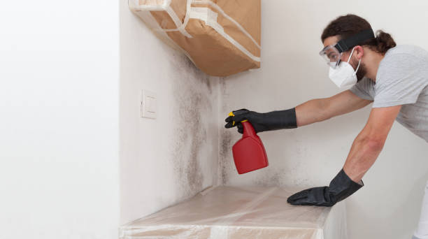 Basement Mold Remediation treatment on basement walls in Sewell